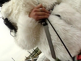 Aletta Ocean And Bambi: Abuse My Asshole