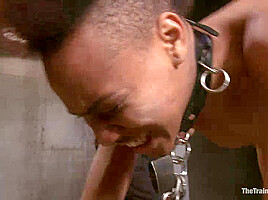 The Training Of Nikki Darling, Day Two – Kink